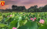 Thiếu nữ Hà thành nô nức khoe sắc cùng mùa sen nở